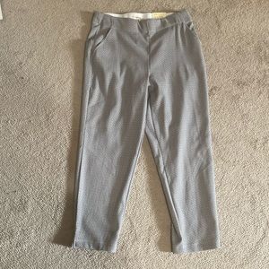 NWT Max Studio Pull on Trouser XL